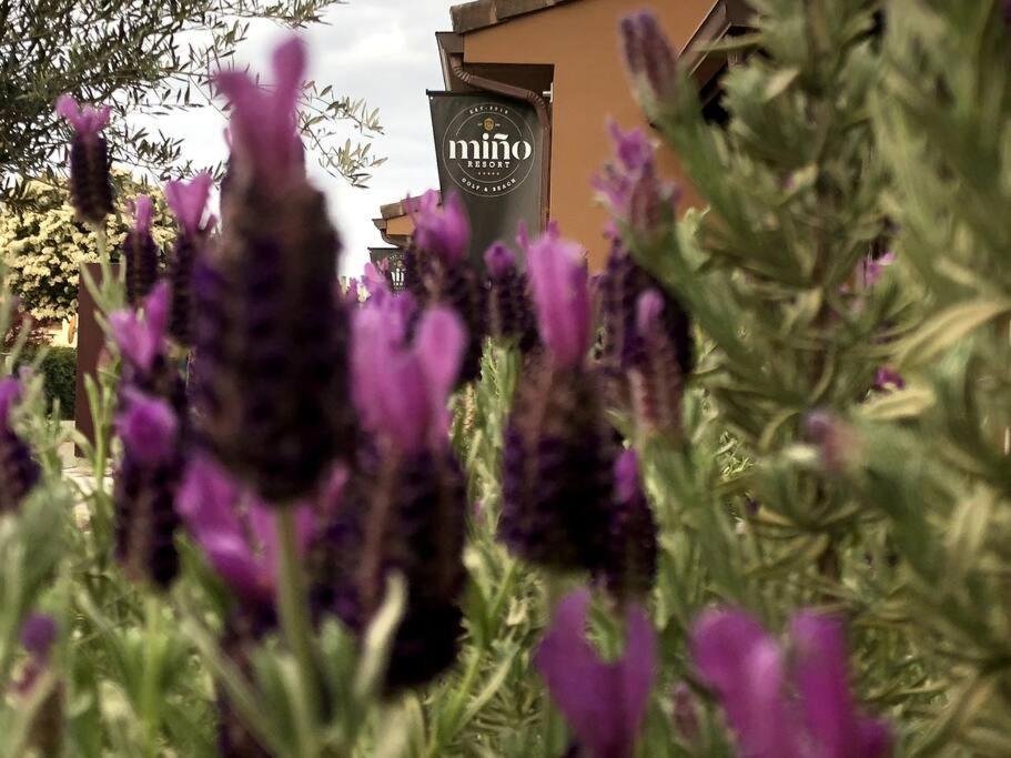 Yuhom, Casas Con Alma. Xacedos 3 Villa มีโญ ภายนอก รูปภาพ